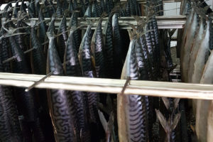 Холодное копчение