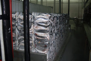 Заморозка рыбы и морепродуктов