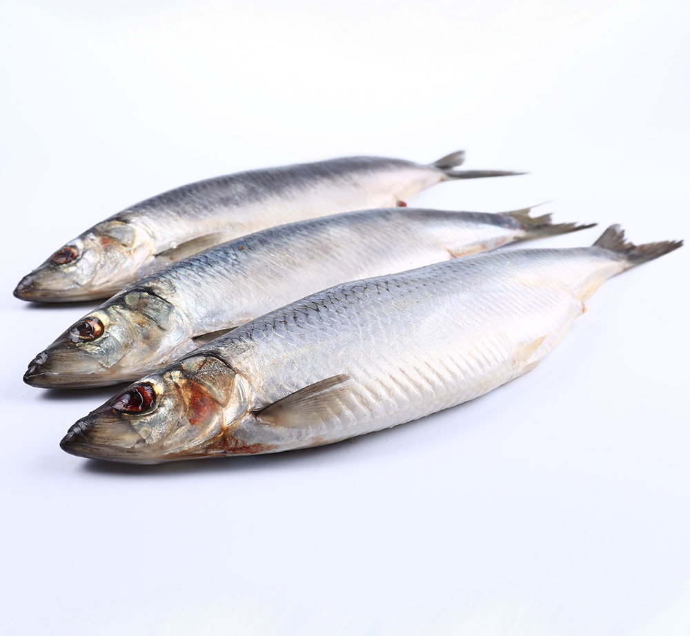 сельдь олюторская свежемороженая. сельдь д. сельдь тихоокеанская слабосоленая. сельдь олюторская слабосоленая. сельдь д.