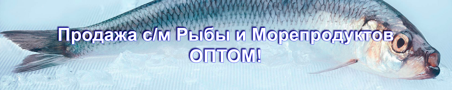 Продажа рыбы и морепродуктов оптом!